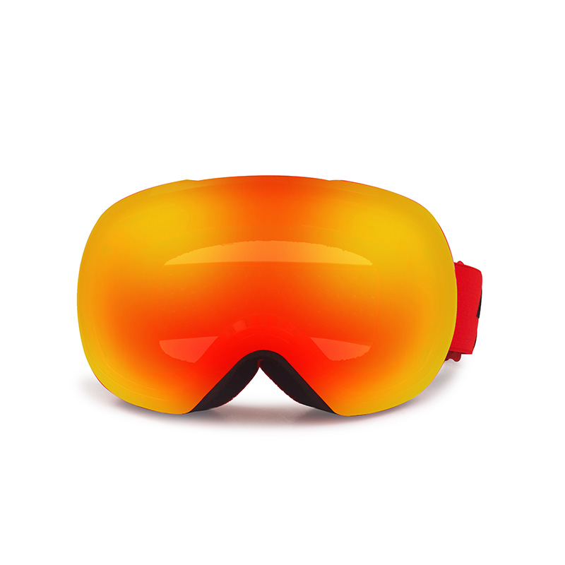Ski Goggles