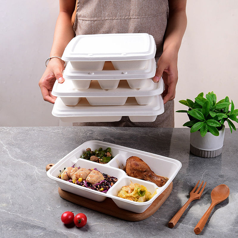 Key features and information about biodegradable disposable containers