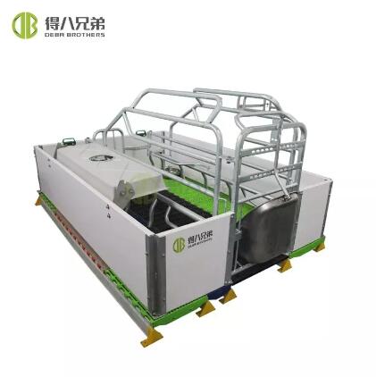 Maximizing Efficiency: Space Utilization and Layout Optimization in European-Style Farrowing Crate Facilities