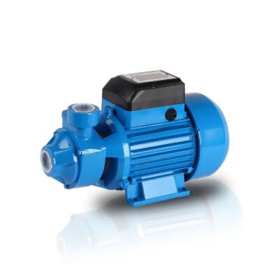 Exploring the Versatility of Electrical Peripheral Clean Water Pumps