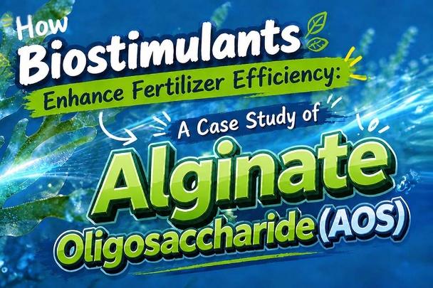 Fertilizer Additives That Work: Top 10 Ranking for Healthier Plants