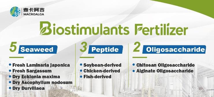 Biostimulant Top 10 Ranking: The Most Effective Products for Boosting Plant Growth
