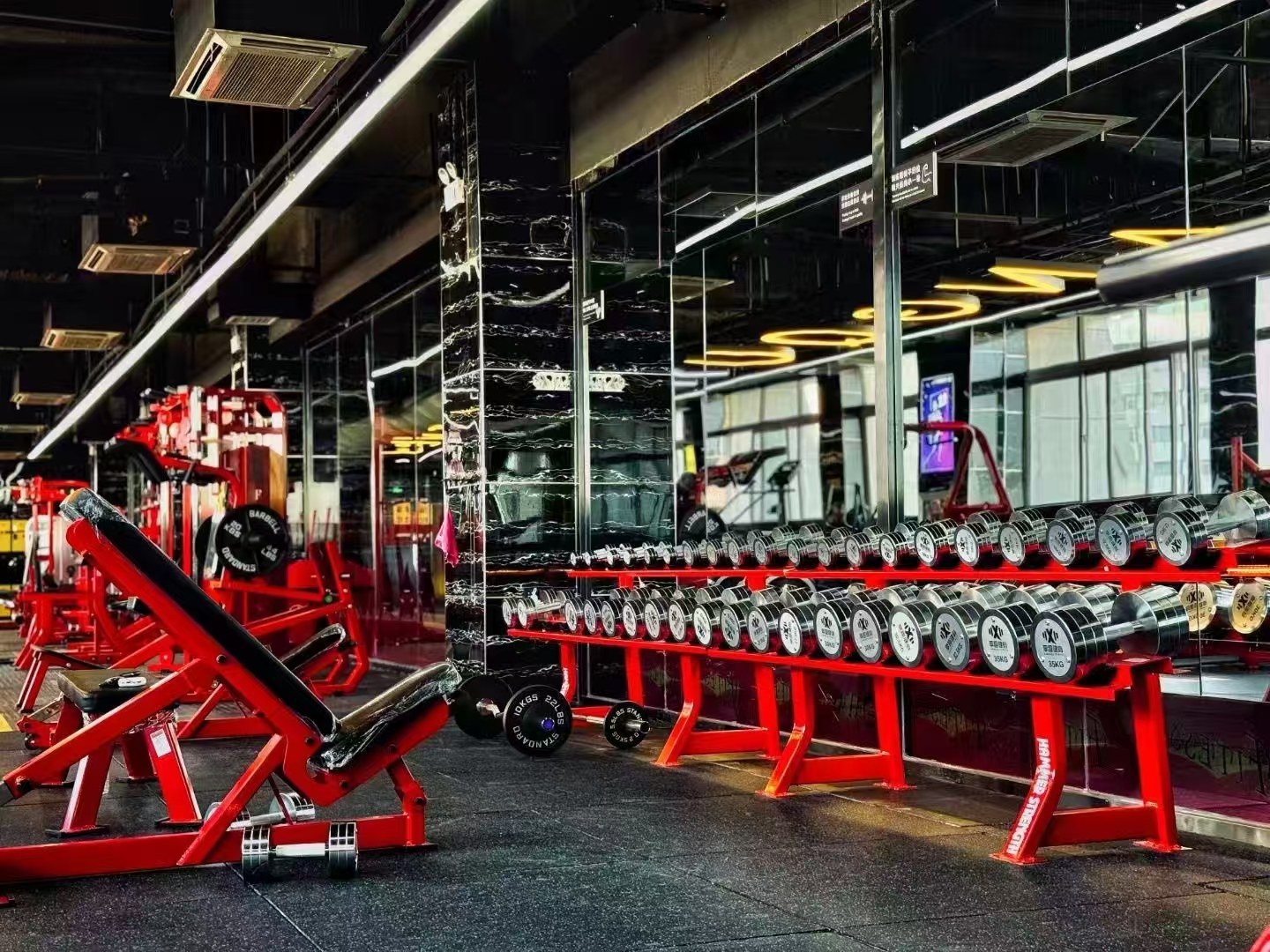 Commercial Fitness Machine Factory: Crafting Premium Gym Equipment for Global Brands