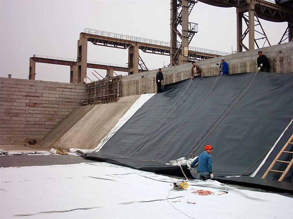 Uniaxial Geogrid Exporters: Essential Tips for Quality Sourcing